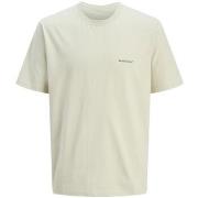 Lyhythihainen t-paita Jack & Jones  12272996  EU L