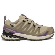 Kengät Salomon  XA Pro 3D V9 GTX  38