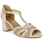 Sandaalit Maciejka  0655104005  36