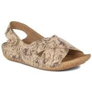 Sandaalit Maciejka  0099465005  36