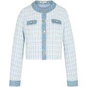 Bleiseri Morgan  261-VNIKI  FR 38