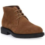 Kengät NeroGiardini  339 Velour Malto  43