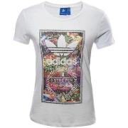 Lyhythihainen t-paita adidas  BK2314  EU S