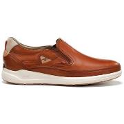 Kengät Fluchos  LENKKARIT  F2445  40