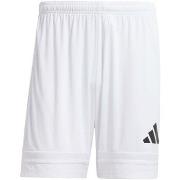 Shortsit & Bermuda-shortsit adidas  Squa25 Sho M  EU XXL