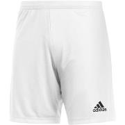 Shortsit & Bermuda-shortsit adidas  Ent22 Sho White  EU XXL