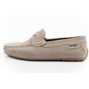 Kengät Wrangler  Maifield  40