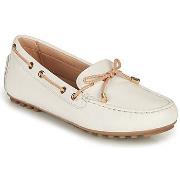 Kengät Geox  D LEELYAN C  36