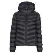 Toppatakki Superdry  HOODED FUJI PADDED JACKET  EU XL