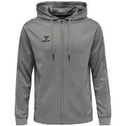 Svetari hummel  Sweat à capuche  hmlCORE XK  EU S