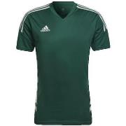 Lyhythihainen t-paita adidas  T-shirt  Condivo 22 Vert  EU S