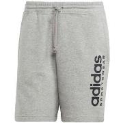 Shortsit & Bermuda-shortsit adidas  Short  All Szn G gris  EU S