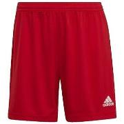 Shortsit & Bermuda-shortsit adidas  Short  Entrada 22 rouge  EU S