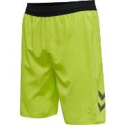 Shortsit & Bermuda-shortsit hummel  Short  hmlLEAD PRO vert  EU S