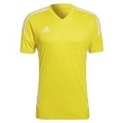 Lyhythihainen t-paita adidas  T-shirt  Condivo 22  EU M