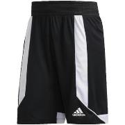 Shortsit & Bermuda-shortsit adidas  Creator 365  EU L