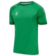 Lyhythihainen t-paita hummel  T-shirt  Lead vert  EU S