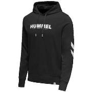Svetari hummel  Sweat à capuche  Legacy Logo Hoodie  EU S