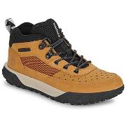 Lastenkengät Timberland  GREENSTRIDE MOTION 6 LOW LACE UP  37