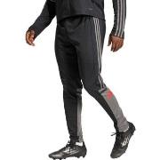 Jogging housut / Ulkoiluvaattee adidas  JD1625  EU M