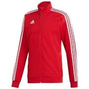 Ulkoilutakki adidas  Tiro 19  EU S