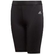 Shortsit & Bermuda-shortsit adidas  Alphaskin Tight Y  EU M