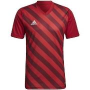 Uimapuvut adidas  Graphique Entrada 22  EU S