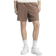 Shortsit & Bermuda-shortsit adidas  Short  Elevated All Szn  EU M