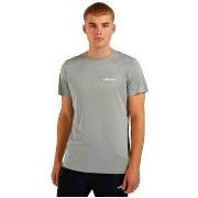 Lyhythihainen t-paita Ellesse  T-shirt  Malbe gris  EU S