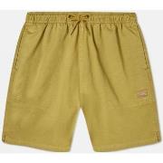 Shortsit & Bermuda-shortsit Dickies  Pelican rapids  EU S