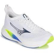 Naisten kengät Mizuno  -  42