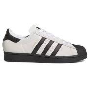 Kengät adidas  Superstar  47 1/3