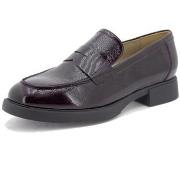 Kengät Piesanto  245544  37