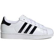 Kengät adidas  Superstar  38 2/3