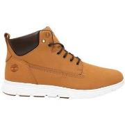 Kengät Timberland  TB0A6BE5754  44
