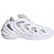 Kengät adidas  Adifom Q  42