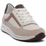 Kengät Ara  GAUCHO CALF CREAM  38