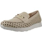 Kengät Pitillos  11103P  36