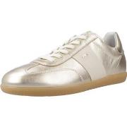 Kengät NeroGiardini  E512850D  36