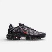 Kengät Nike  Air Max Plus Topography Pack  48 1/2