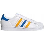 Kengät adidas  Superstar  47 1/3
