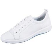 Kengät Ara  Roma Weiss Cervocalf  39