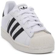 Kengät adidas  SUPERSTAR W  38