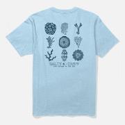 Lyhythihainen t-paita Salty Crew   head ss tee  EU M