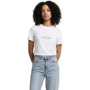 Lyhythihainen t-paita Calvin Klein Jeans  LV047F810G  EU S