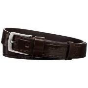 Vyöt Rovicky  PLWR11BROWNROV  Yksi Koko