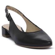 Tennarit Ara  Firenze  38