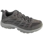 Kengät Columbia  Crestwood  40