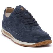 Kengät Lumberjack  INDIGO CORKRUN  43