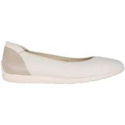 Balleriinat Ara  Sardinia  40